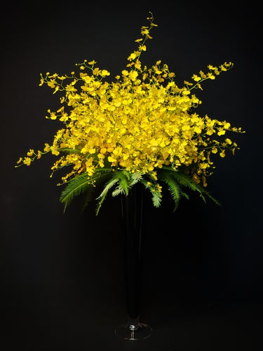 08 F